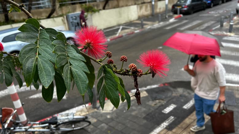 מתחמם, מתקרר והגשם חוזר: תחזית מזג האוויר