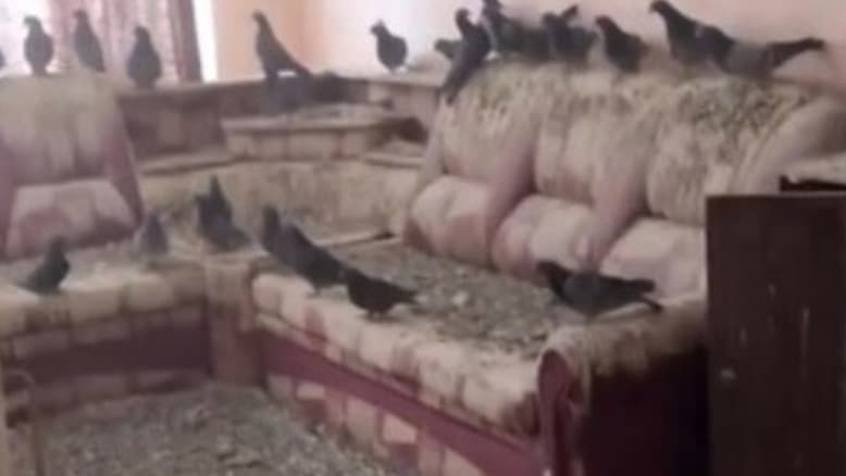 טעות של 78 אלף שקלים - זה מה שקרה והוא ממש לא רוצה