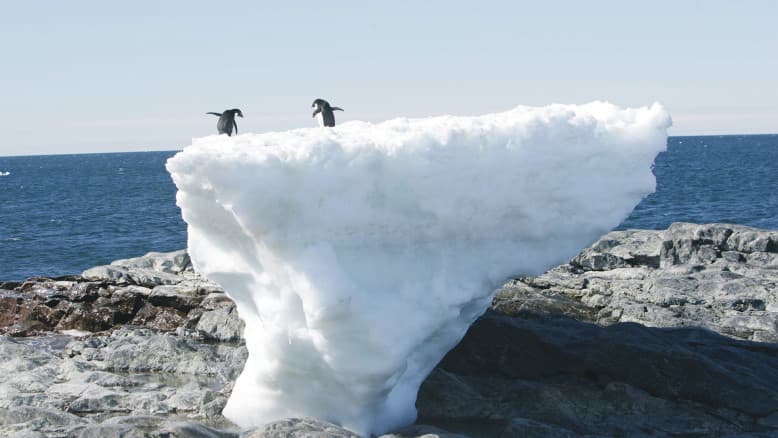הסוף של ענק הקרח שניסה לברוח מאנטארקטיקה - ונמס