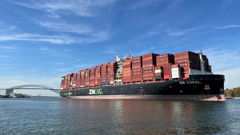 מישהו פה השתגע? צים היא לא למכירה | שלמה מעוז