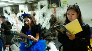 כולנו לבשנו תחפושת של שגרה